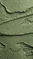 Mask of Magnaminty Self-Preserving | Face and Body