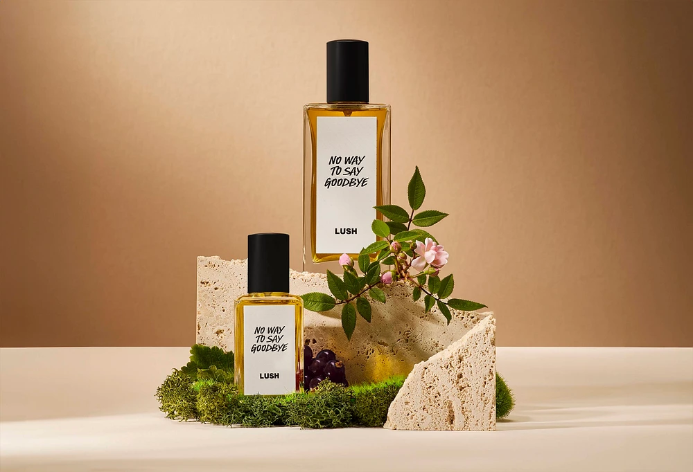 No Way To Say Goodbye Perfume