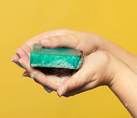 Sea Vegetable | Soap