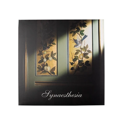 Synaesthesia Vinyl With USB