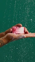 The Comforter Soap