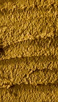 Turmeric Fresh Face Mask