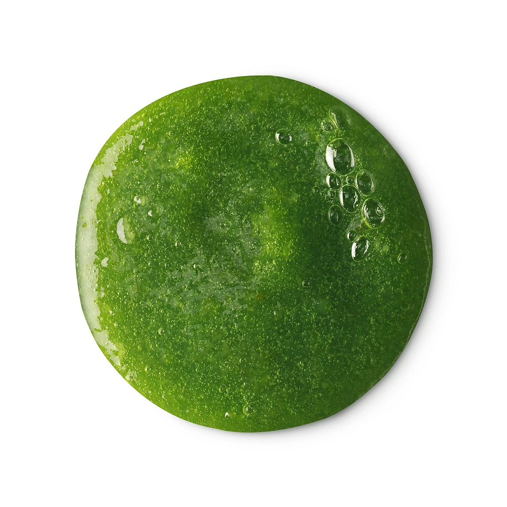 Wasabi Shan Kui | Olive Oil Caffeine Shampoo LUSH