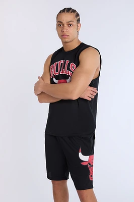 Mens Chicago Bulls Mesh Shorts