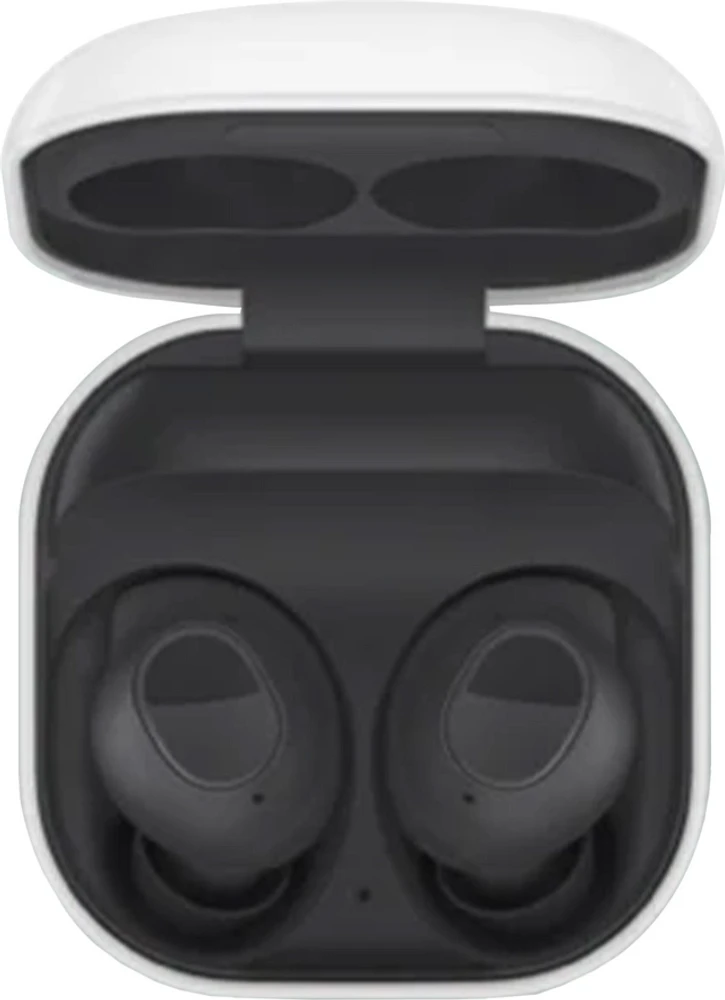 Samsung SMR400NZAAXAC Écouteurs sans Fil Galaxy True Wireless FE Graphite