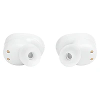 JBL Tune Buds - Blanc