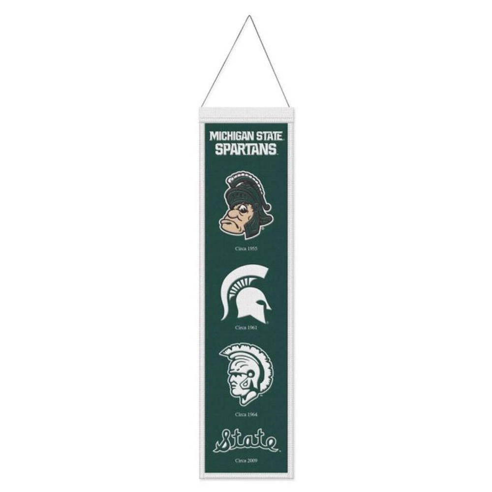 Michigan State Vault 8