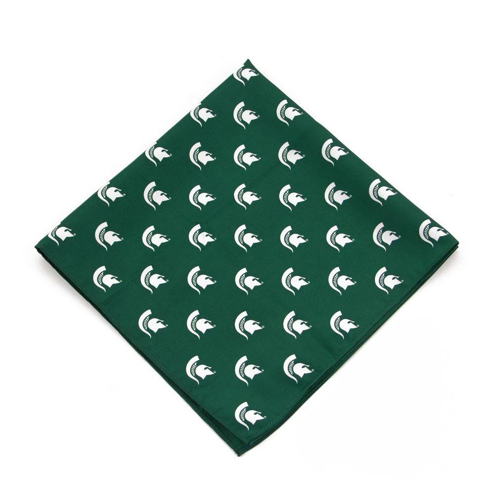 Michigan State Eagles Wings 19