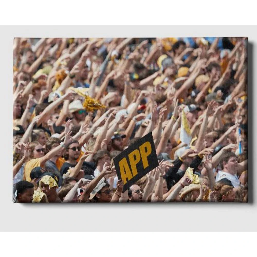 App State 24