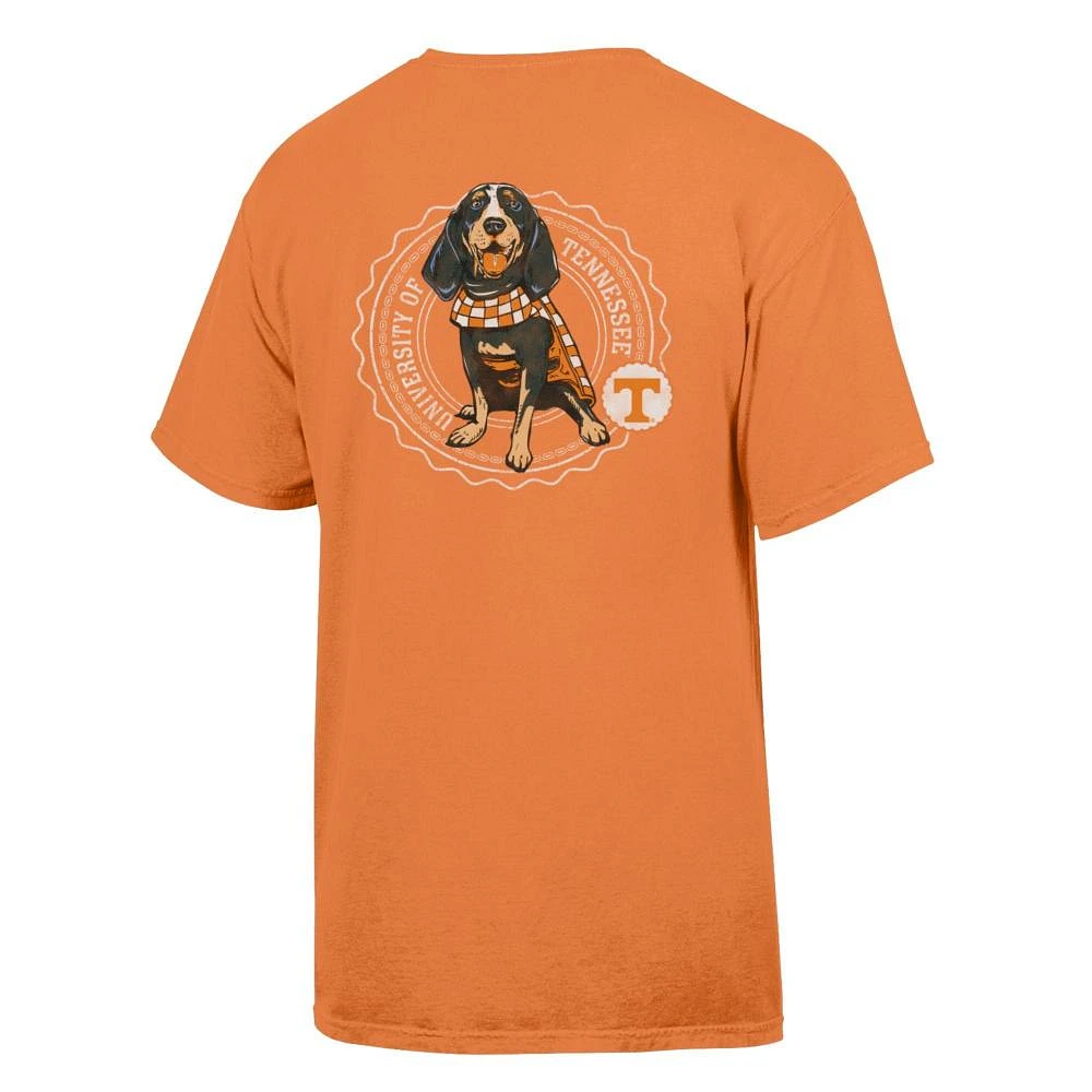 Tennessee Comfort Wash Smokey Seal Tee