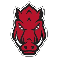 Arkansas 4
