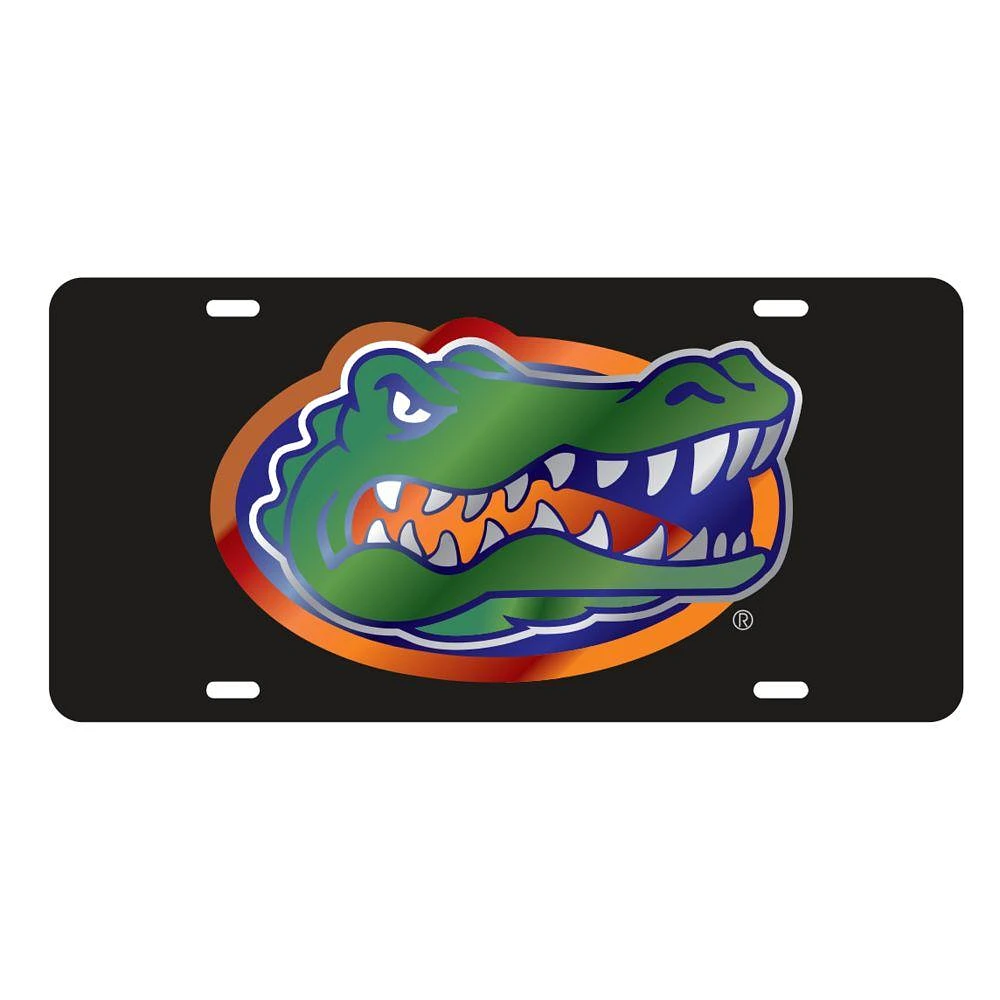 Florida Logo License Plate