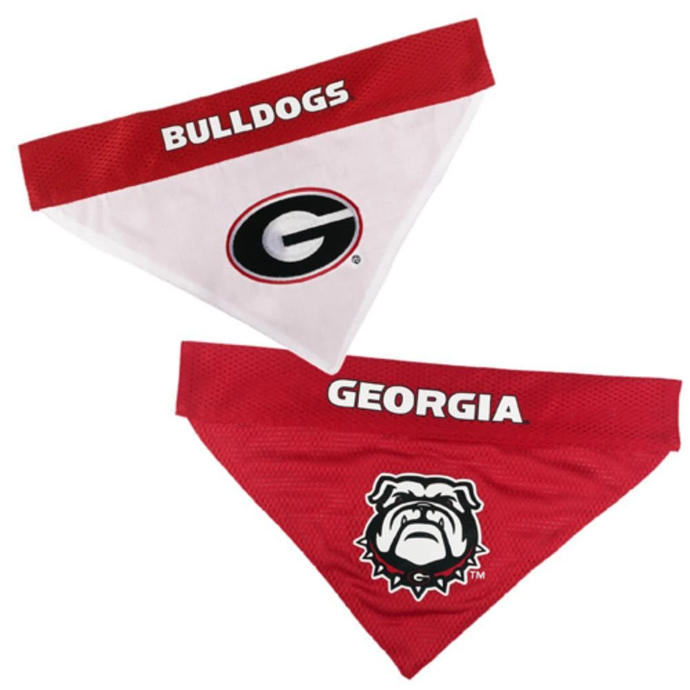 Georgia Reversible Pet Bandana