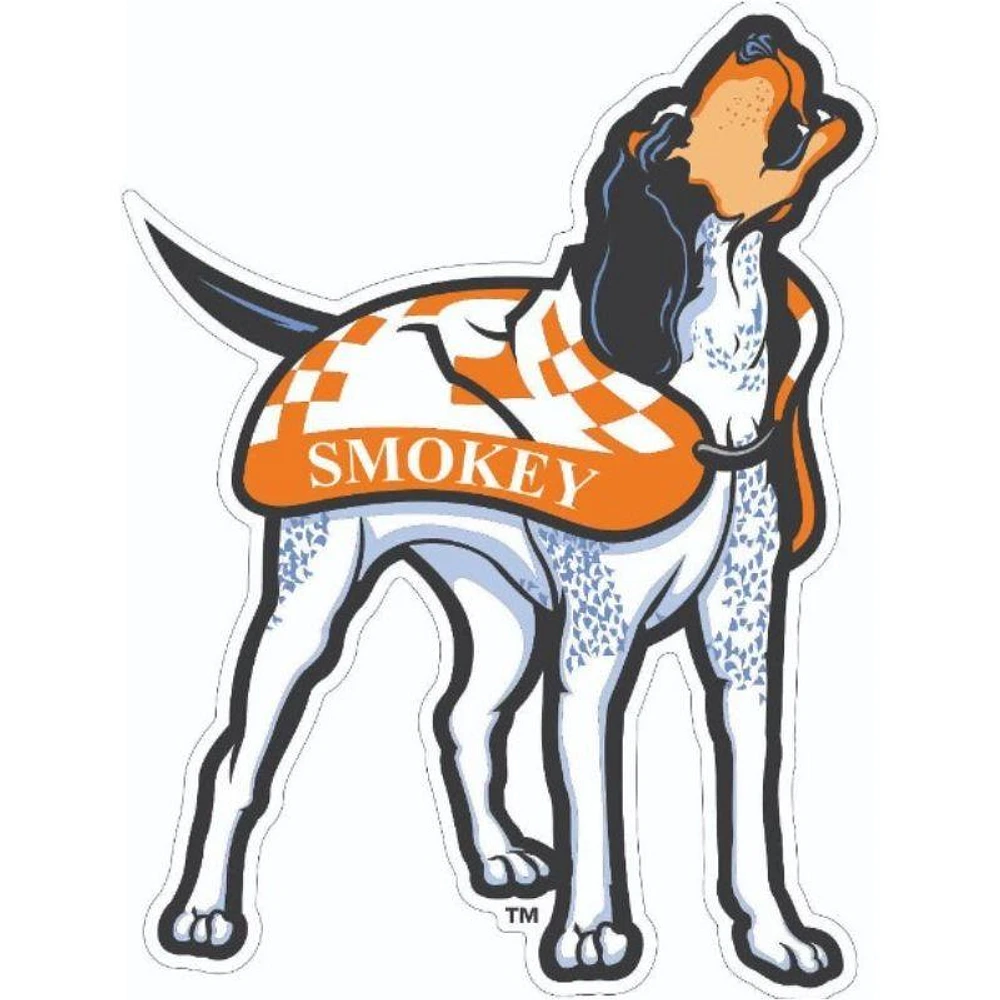 Tennessee 6