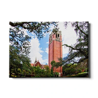 Florida College Wall Art