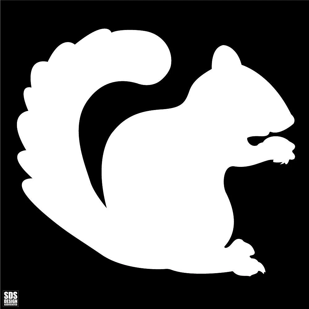 White Squirrel 3