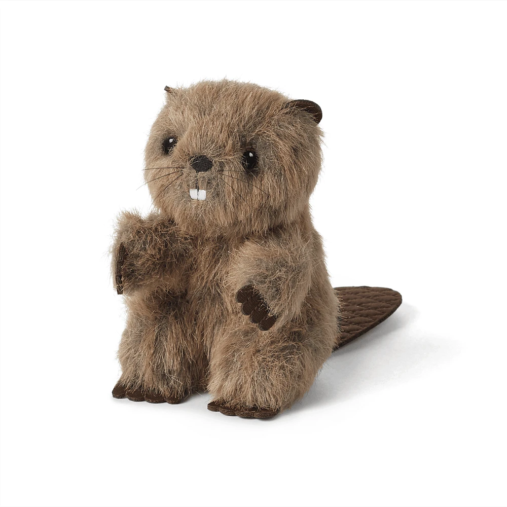 Beaver (Historical Characters)