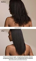 botanical repair™ strengthening shampoo