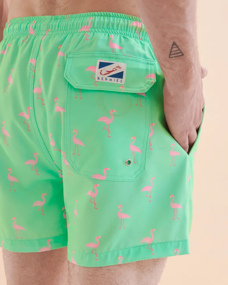 Flamingo Volley Swimsuit