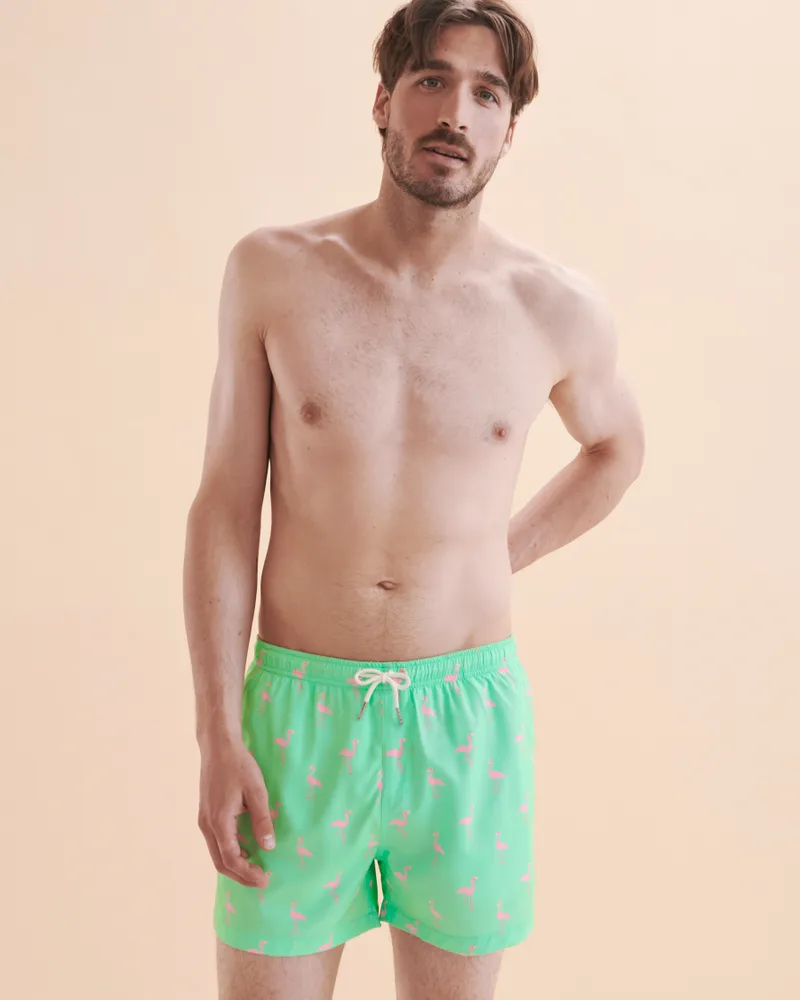 Flamingo Volley Swimsuit