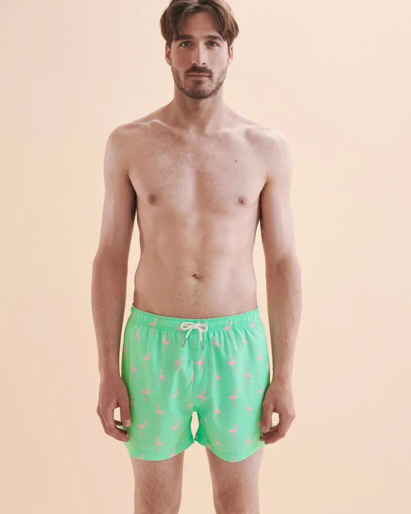 Flamingo Volley Swimsuit
