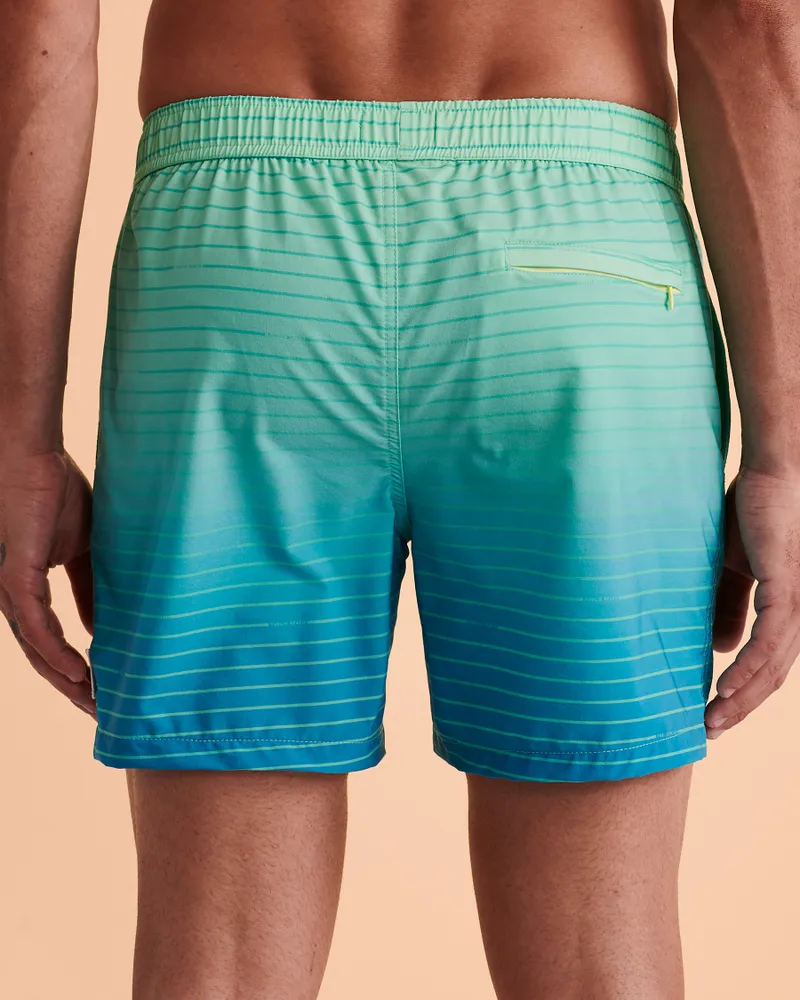 Stripe Fade Out Volley Swimsuit