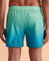 Stripe Fade Out Volley Swimsuit