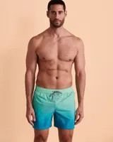 Stripe Fade Out Volley Swimsuit