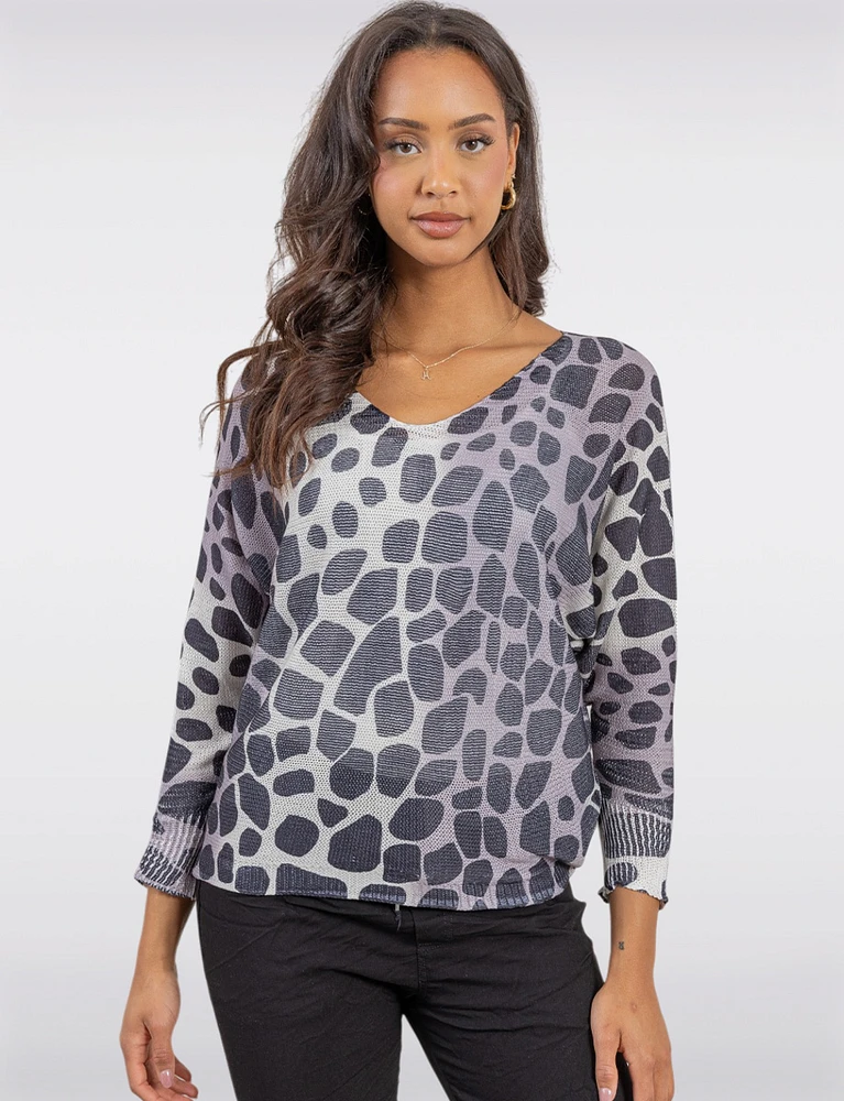 Relaxed Fit Leopard Print Knit Top with V-Neck and Dolman Sleeves by Froccella