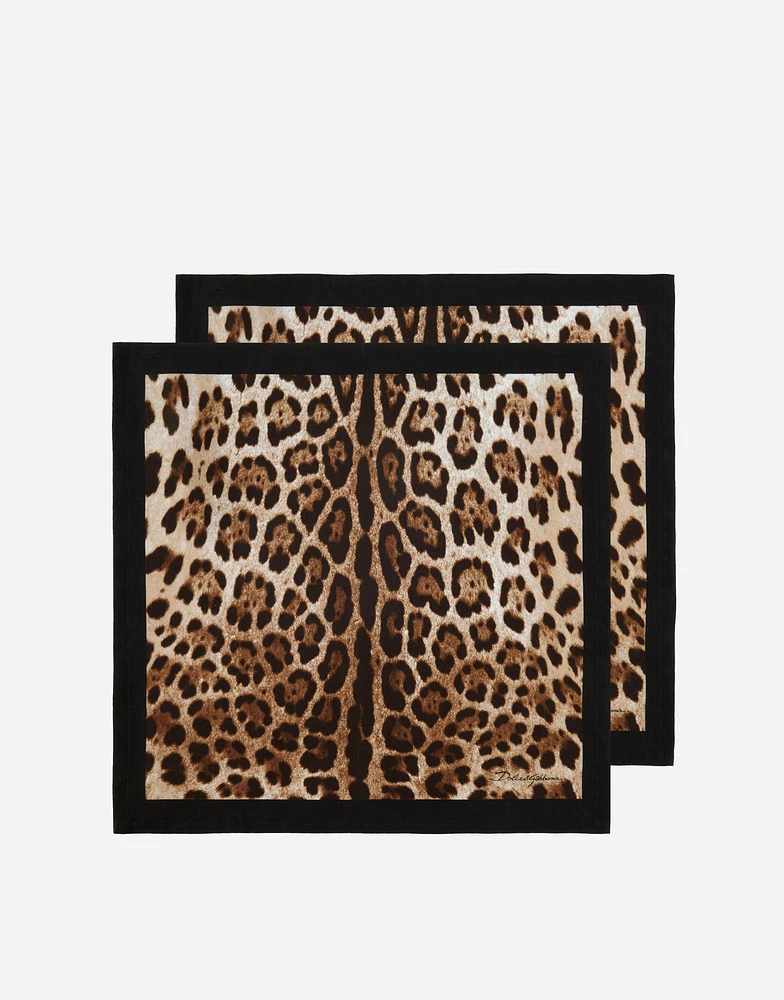 Set of 2 Linen Napkins