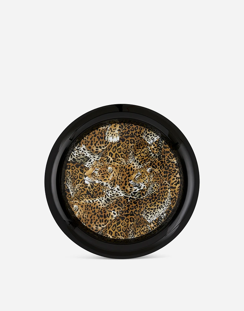 Metal Tray