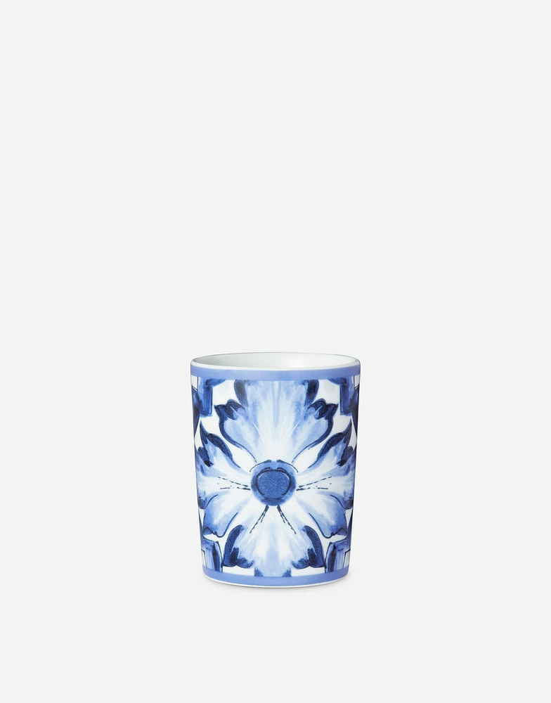 Porcelain Water Glass