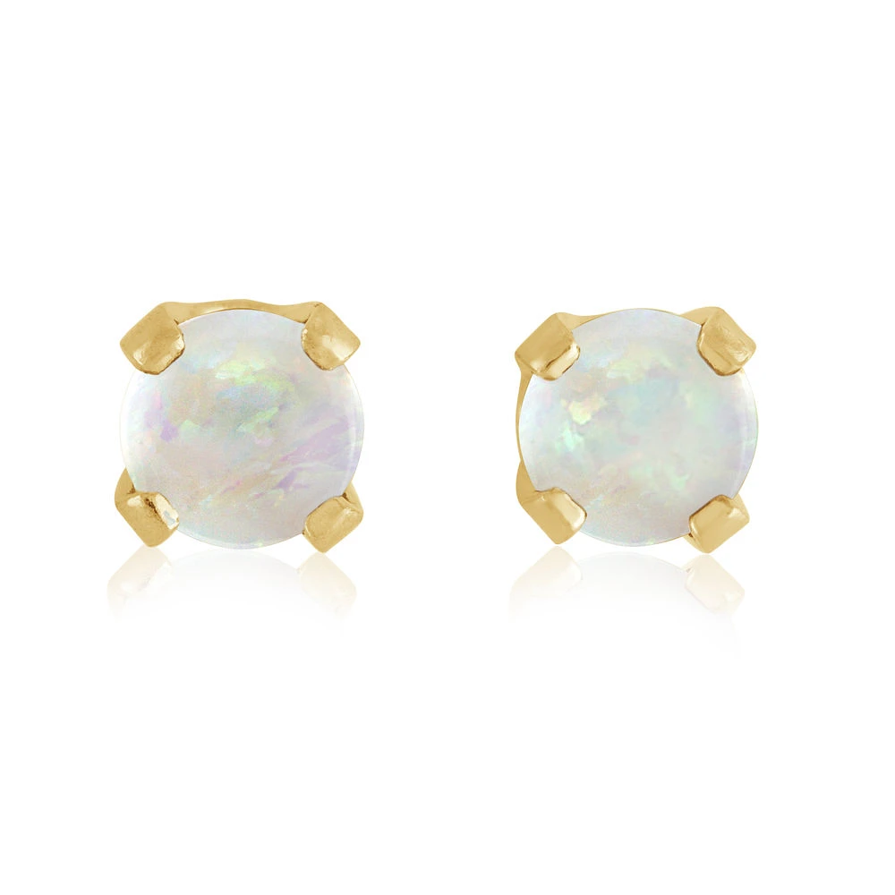 Stud Earrings