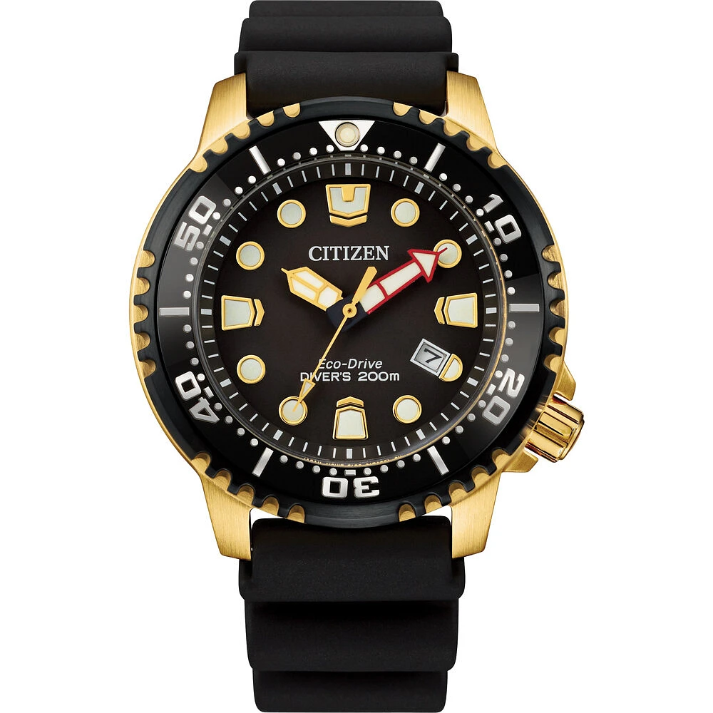 Professional Diver Black Dial Men's Watch | Doucet Latendresse