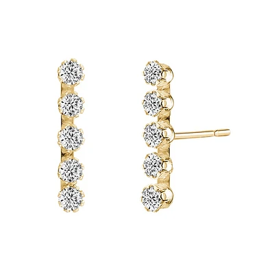 Boucles d'oreilles pour femme