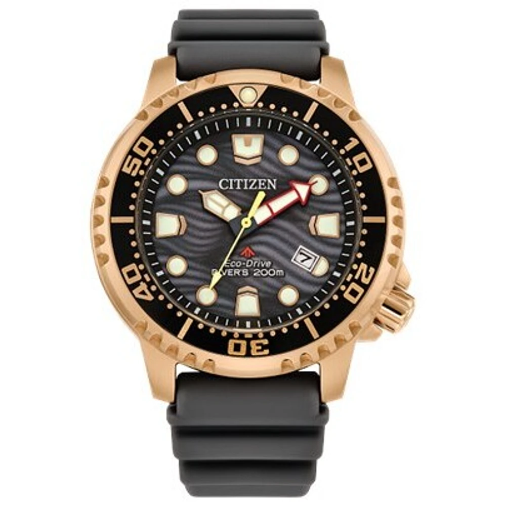 Promaster Dive | Doucet Latendresse