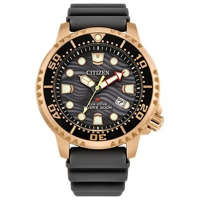 Promaster Dive | Doucet Latendresse
