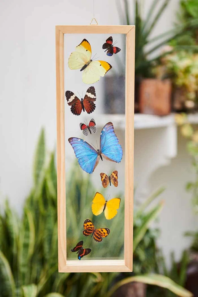Trail of Butterflies Frame