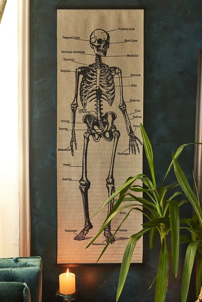 Skeleton Chart Wall Decor