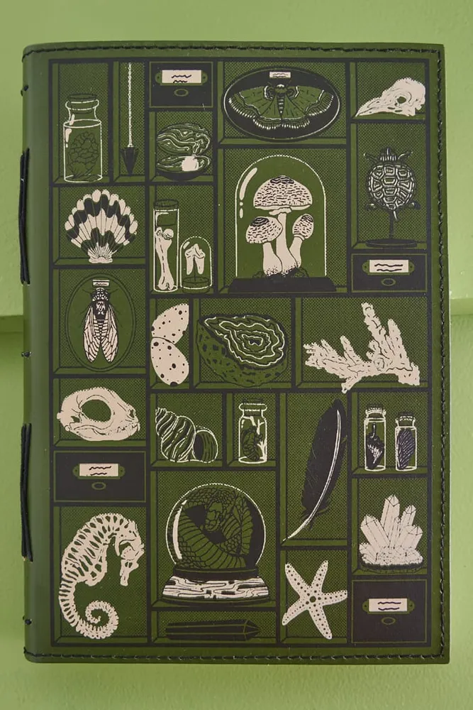 Curio Cabinet Medium Leather Journal (EB Exclusive)