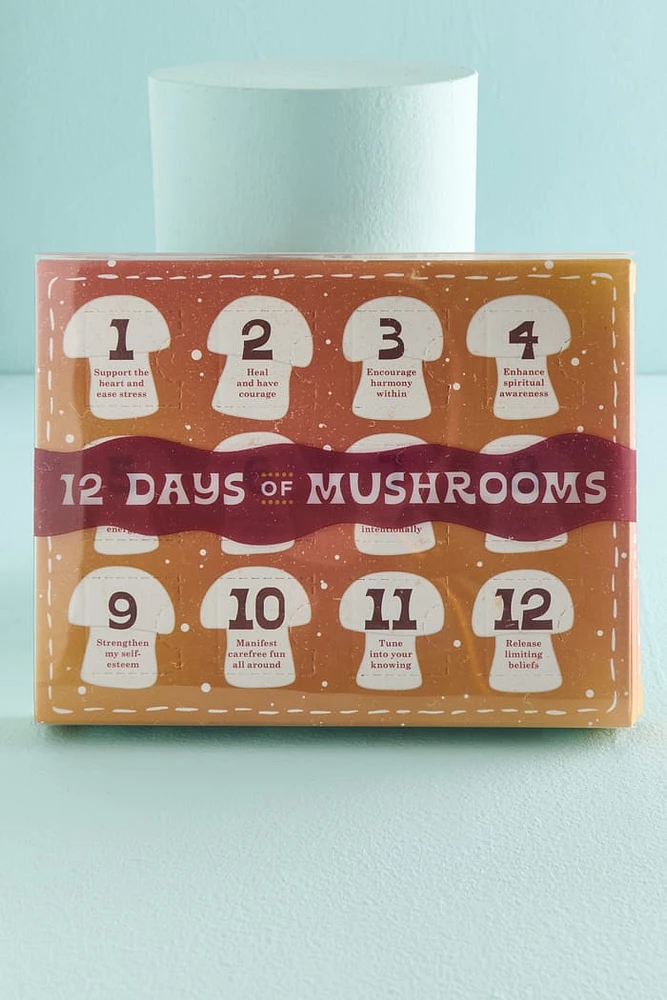 12 Days of Mushrooms Gift Set - Whimsical boho Decor & Gifts