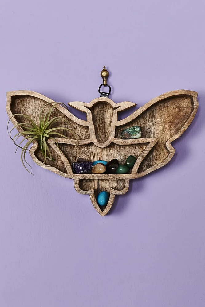 Moth Wood Shelf