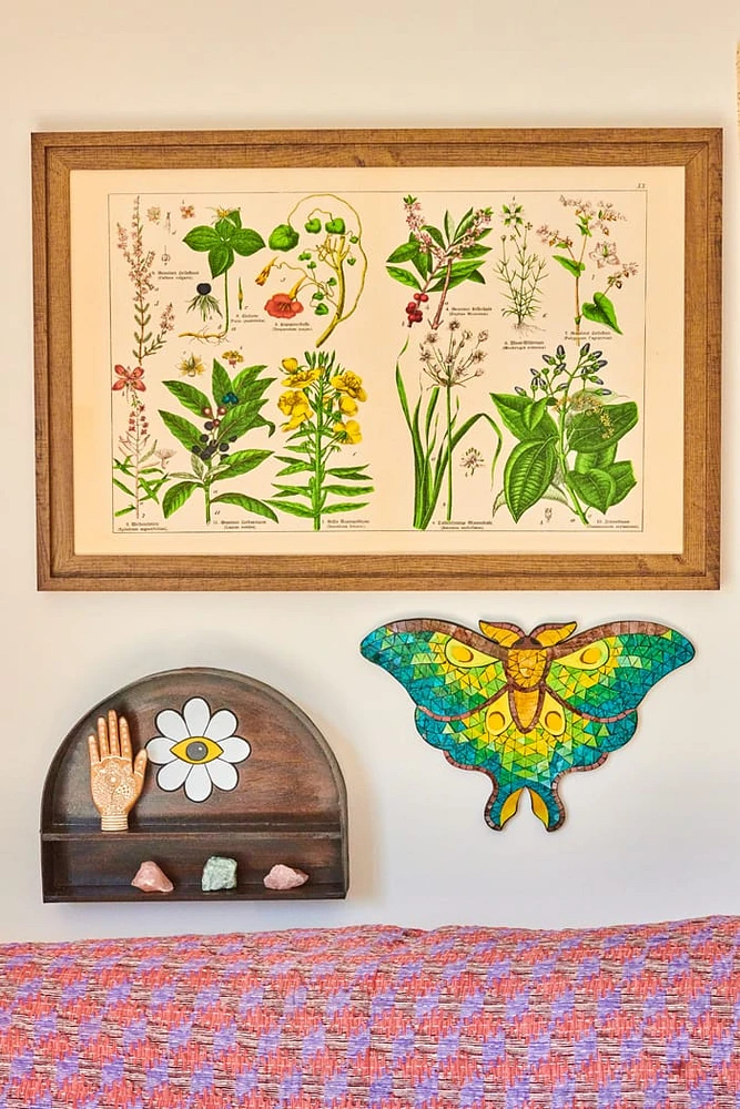 Botanical Flower Framed Wall Art