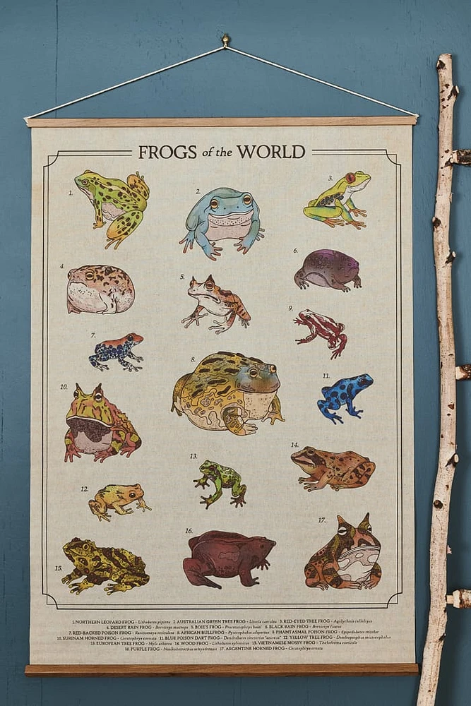 EBX Frogs of the World Wall Art Banner