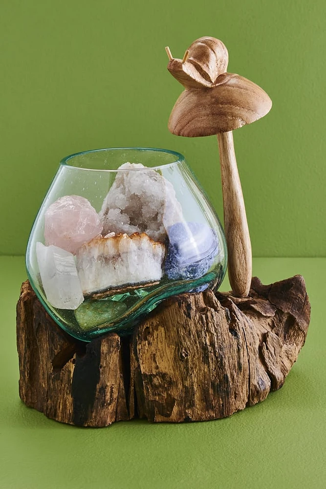 Mushroom Snail Rootwood Vase