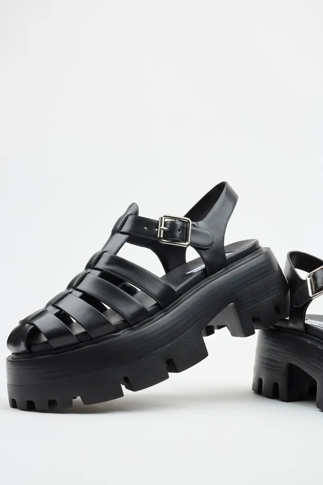 STEVE MADDEN Monti