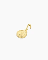 Fleur De Lis Coin Parker Charm