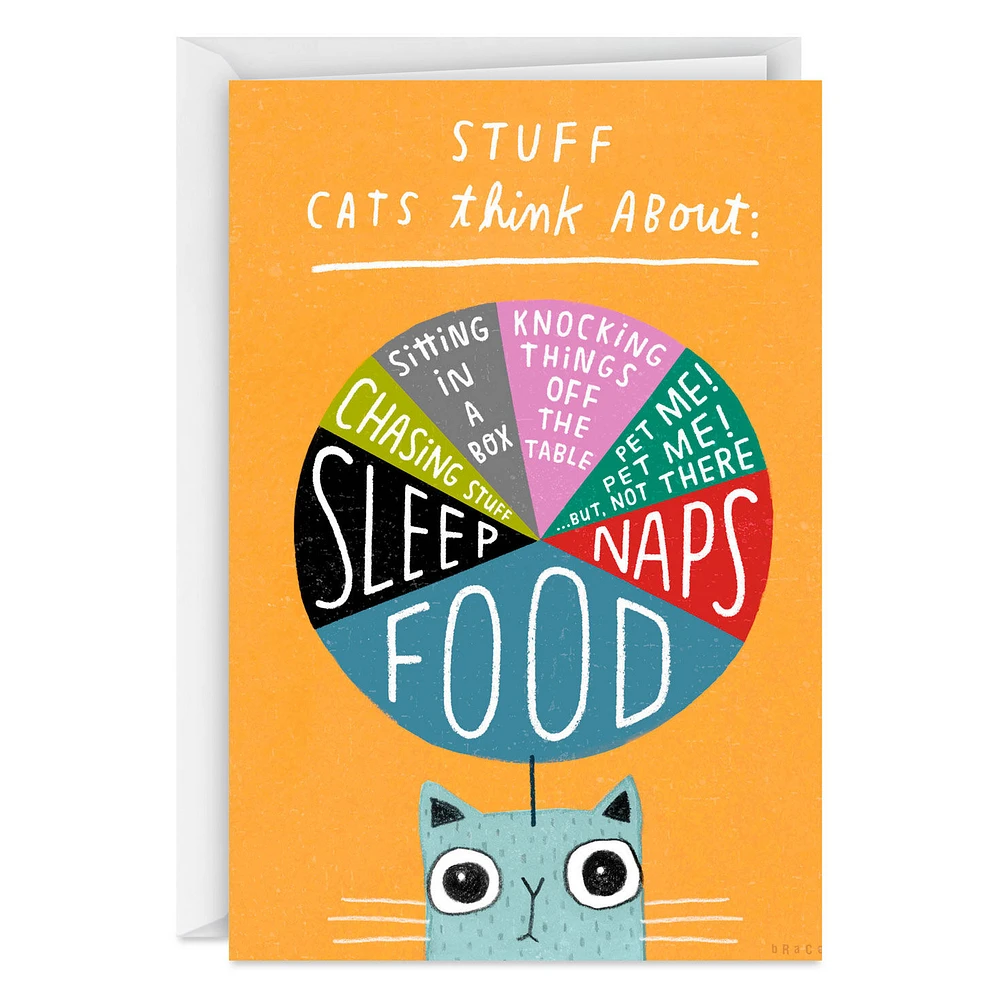 Stuff Cats Think About Pie Chart Funny Blank Card for only USD 3.99 | Hallmark