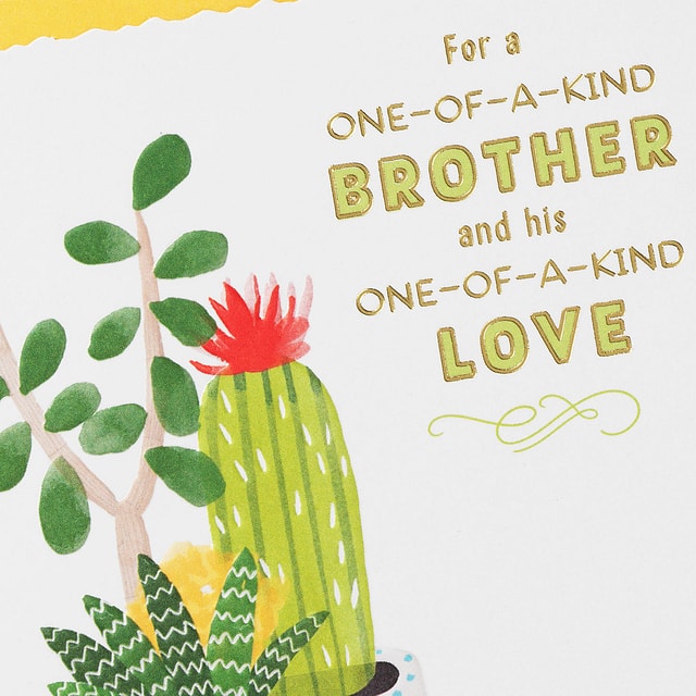 One-of-a-Kind Anniversary Card for Brother and Spouse for only USD 3.99 | Hallmark