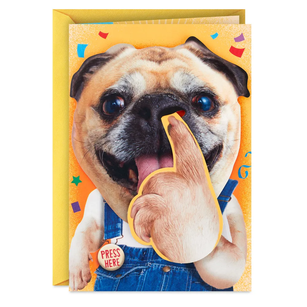 Pickin' and Grinnin' Funny Musical Birthday Card With Motion for only USD 9.59 | Hallmark